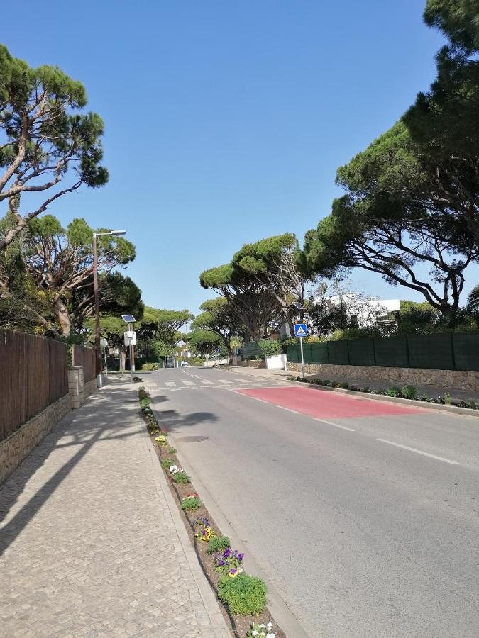 אלמנסיל Villa 88 מראה חיצוני תמונה